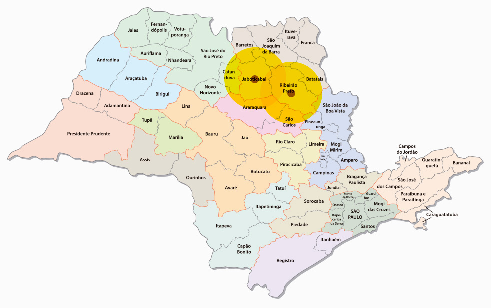 area de atuacao